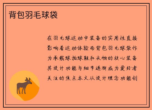 背包羽毛球袋