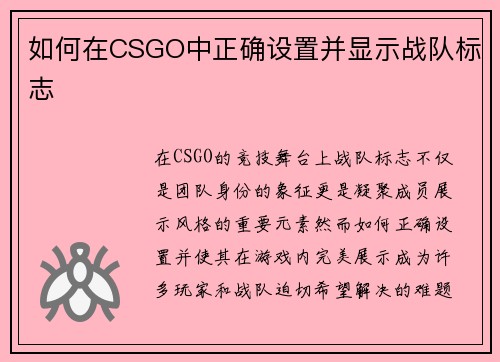 如何在CSGO中正确设置并显示战队标志