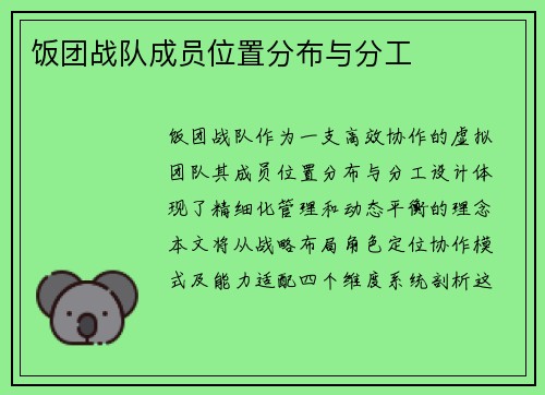饭团战队成员位置分布与分工